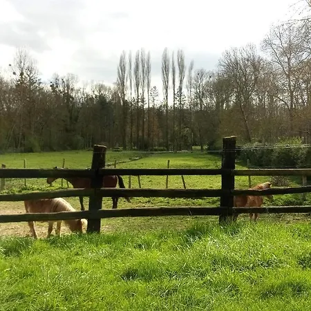 L'ancien Prieure Lorrez-le-Bocage-Preaux